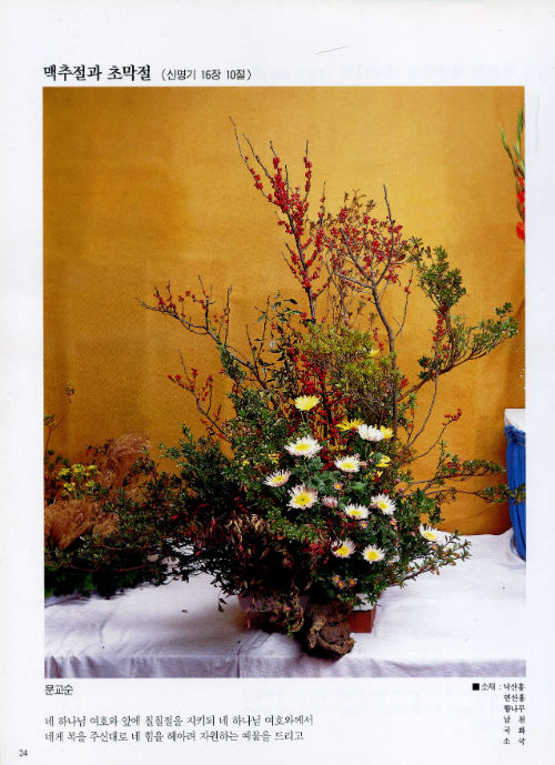 ÀÚ·á024.jpg