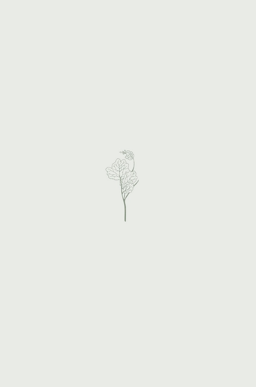 ÁÖº¯À¸·Î¹Ð·Á³±âµ¶±³13.jpg