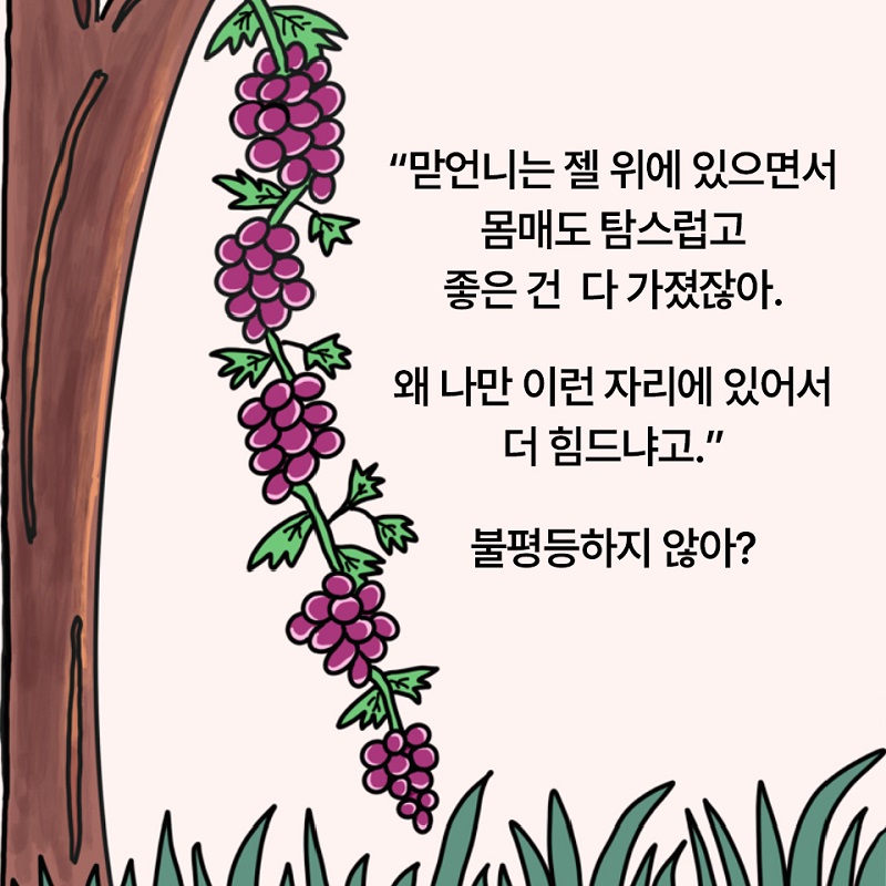 À¯¿ùÀÇ»ù_Áý ³ª°£ Æ÷µµ_Ä«µå·Î º¸´Â Ã¥2.jpg