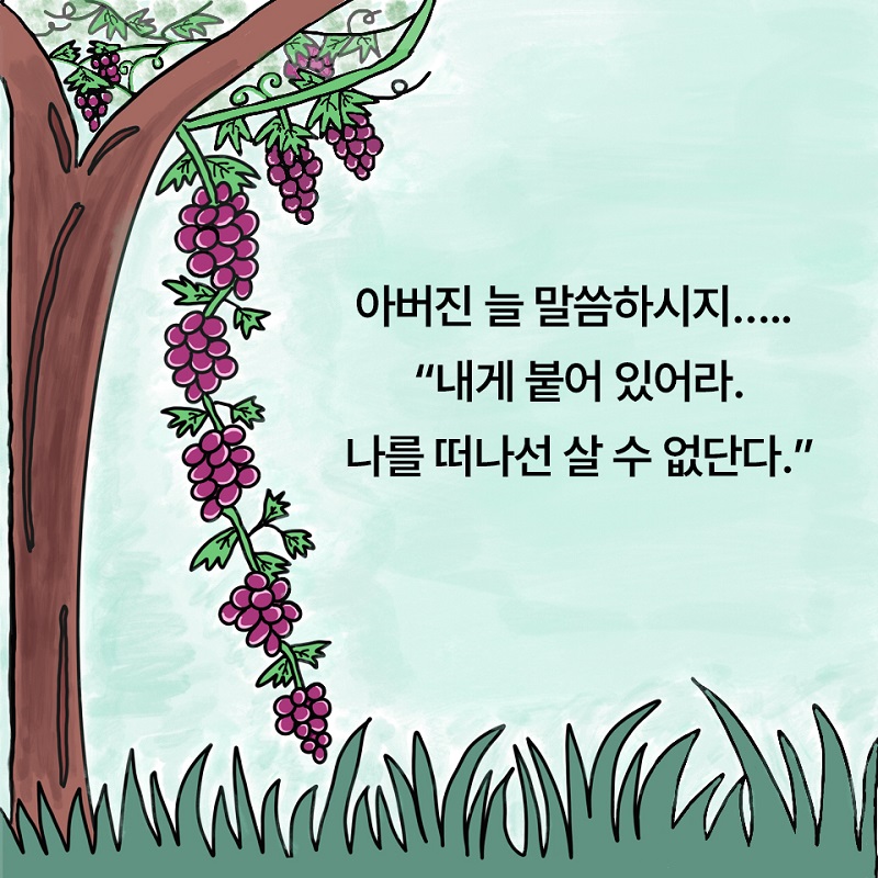 À¯¿ùÀÇ»ù_Áý ³ª°£ Æ÷µµ_Ä«µå·Î º¸´Â Ã¥3.jpg