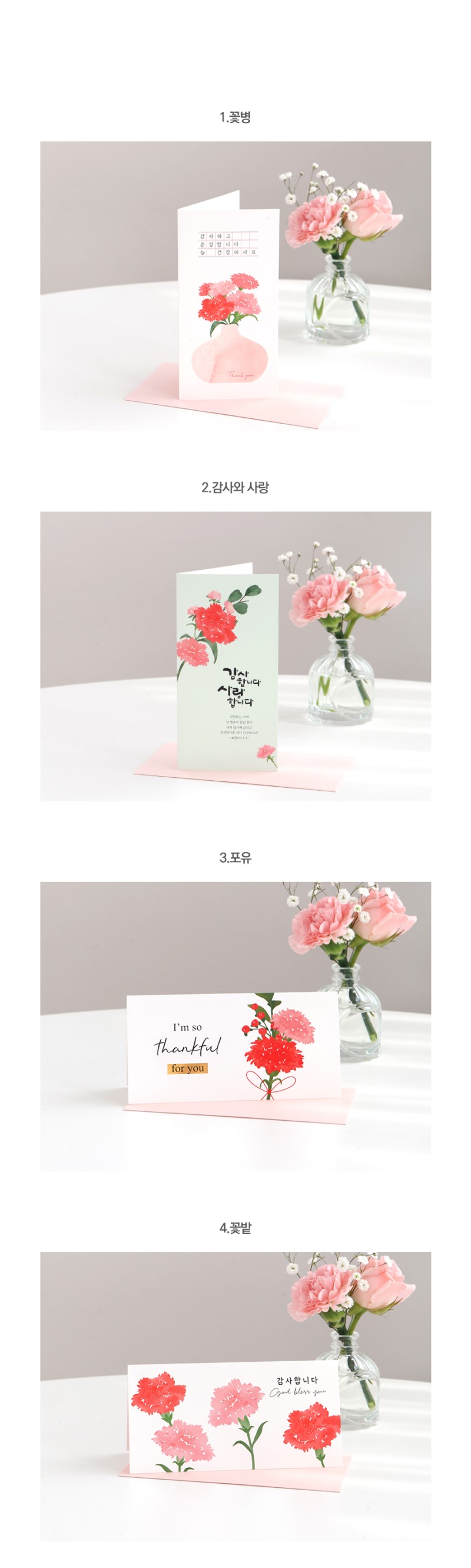 240328_gb_carnations_card_L_02.jpg