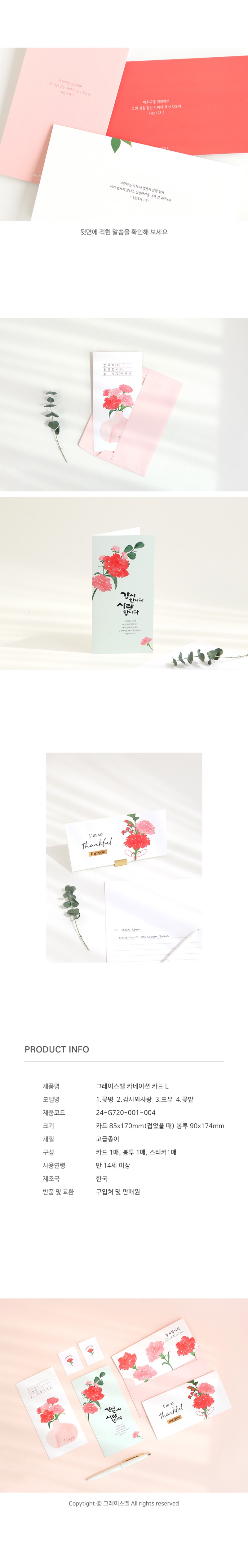 240328_gb_carnations_card_L_04.jpg