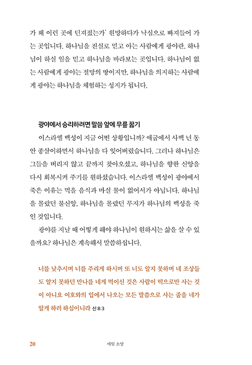  (17).jpg