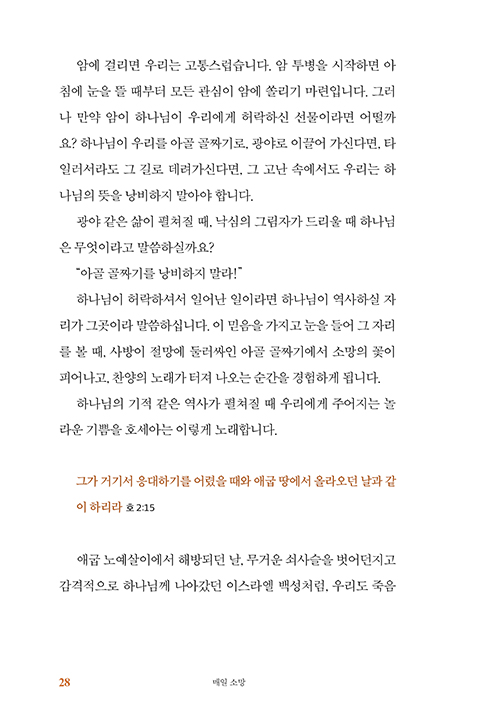  (25).jpg